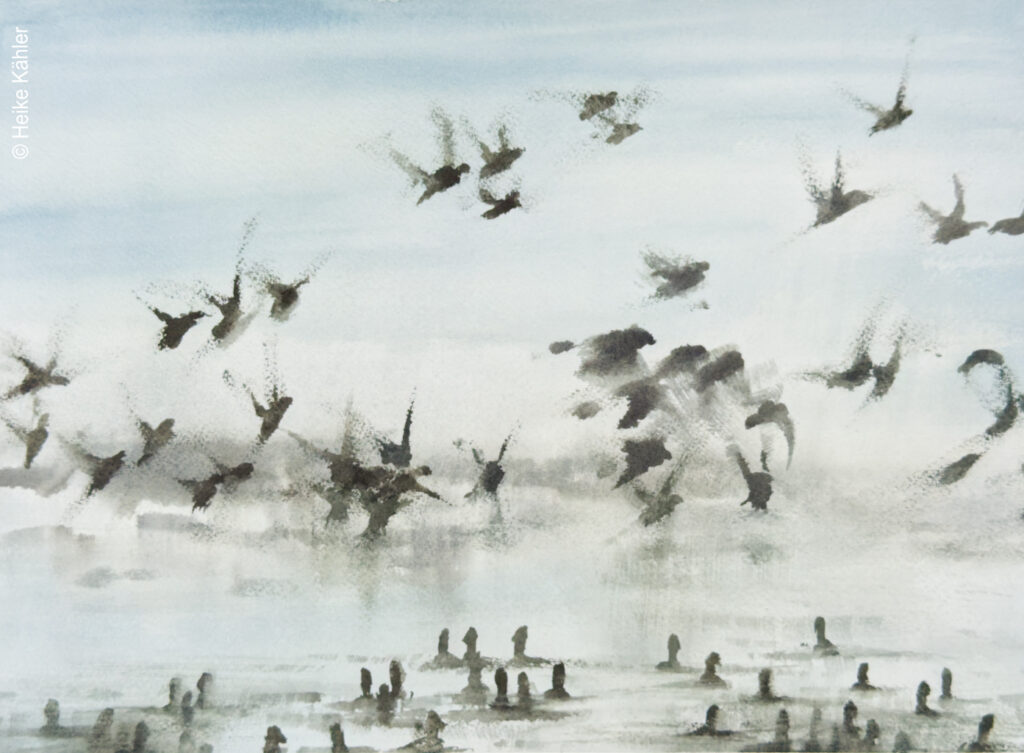 Heike Kähler, Aquarell auf Büttenpapier, 2025, Titel: Meeresvögel, Motivgröße 24 cm x 32,5 cm